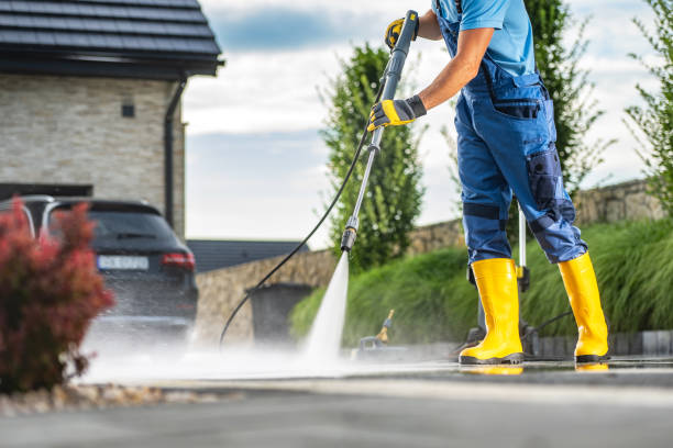 Best Driveway Pressure Washing  in Dorothy, NJ